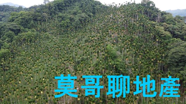 東勢林地-8