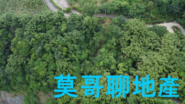 太平山坡地-7