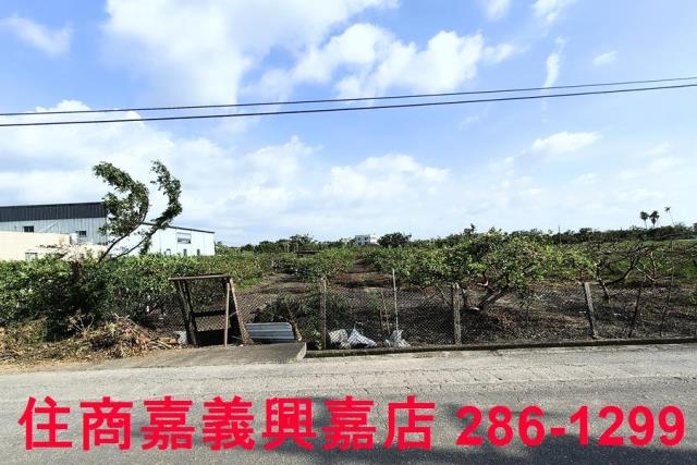 嘉義水上農地-3