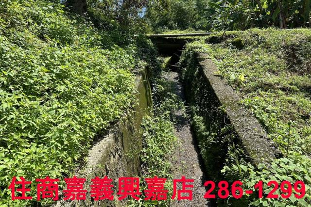 番路農地-11