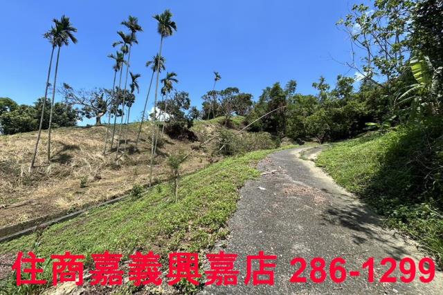 番路農地-2