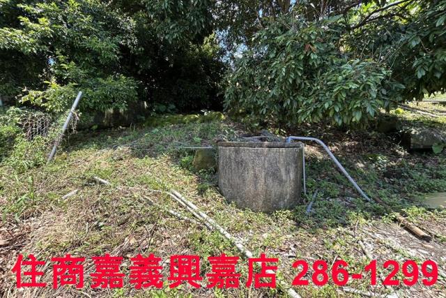 番路農地-6