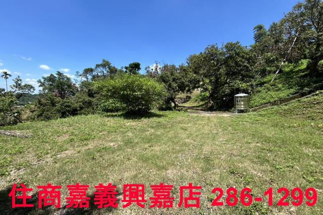 番路農地-7