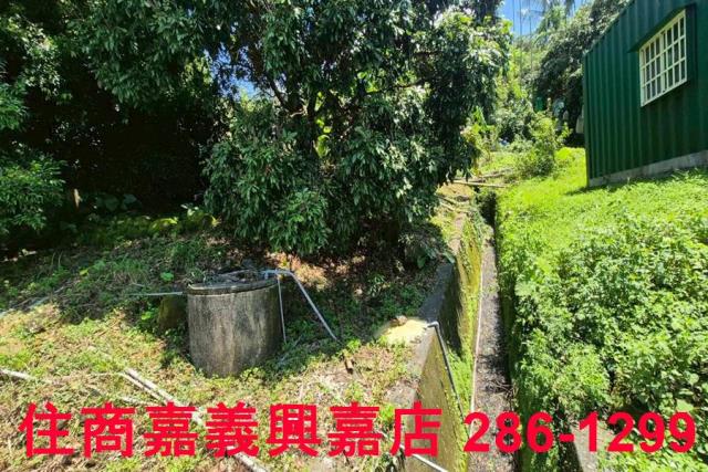 番路農地-9