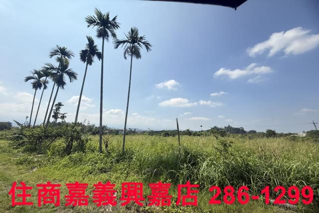 中埔農地-11