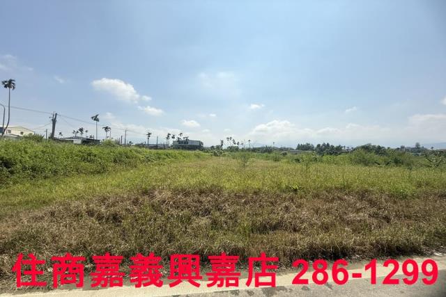 中埔農地-12