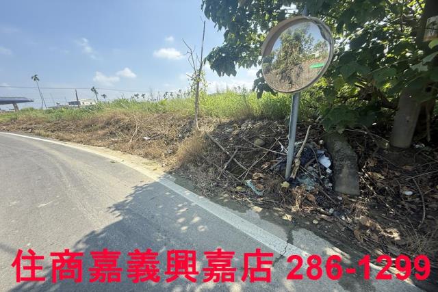 中埔農地-3