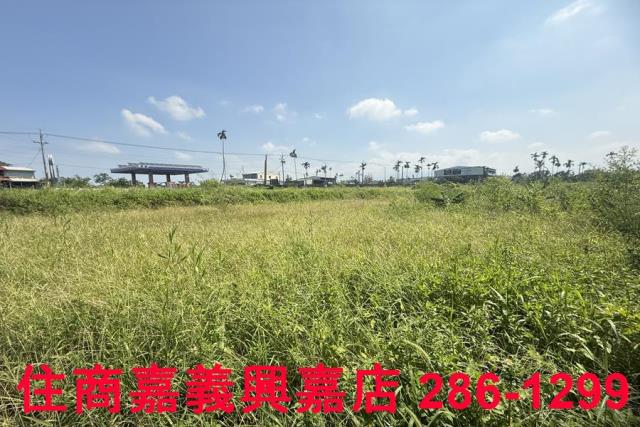 中埔農地-4
