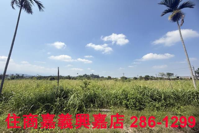 中埔農地-6