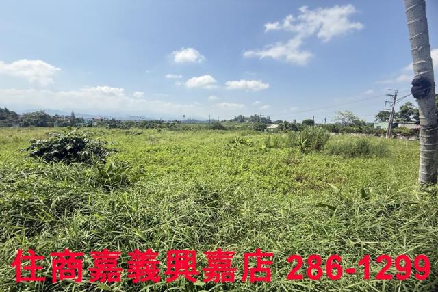 中埔農地-7