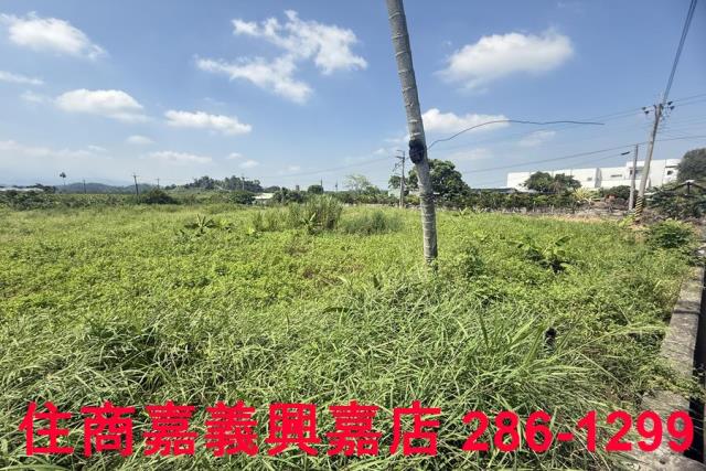 中埔農地-8