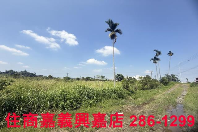中埔農地-9