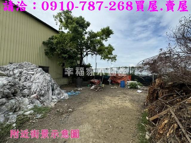 水上農地-11