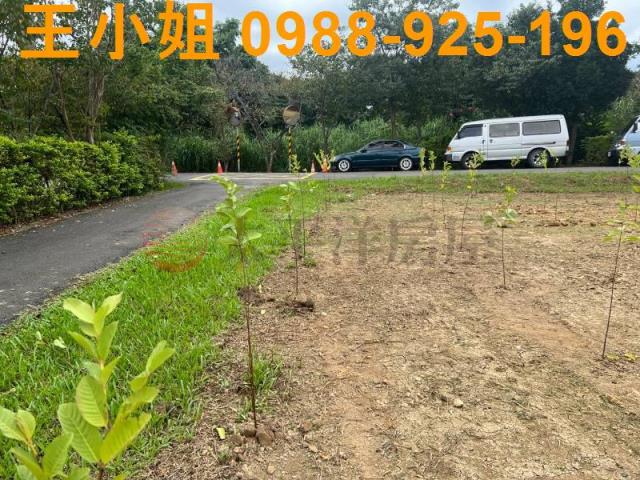 桃園農地-1