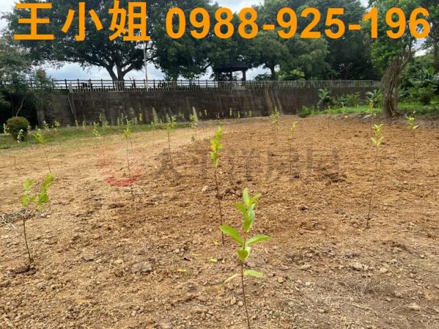 桃園農地-8