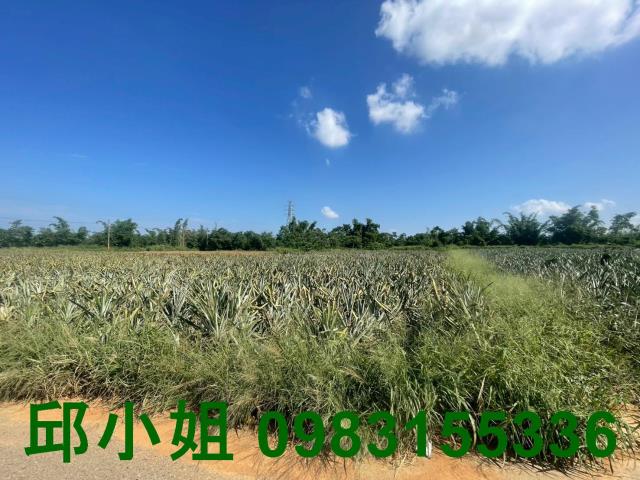 嘉義民雄農地-1