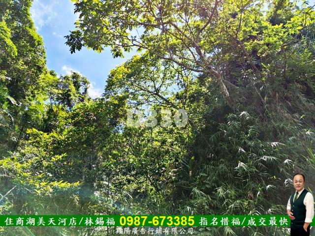 花蓮瑞穗農地-5
