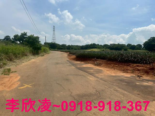 台中沙鹿農地-1