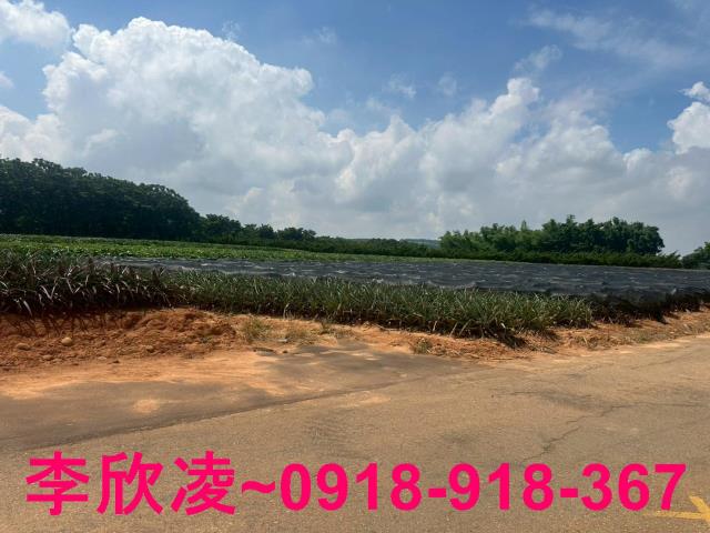 台中沙鹿農地-6