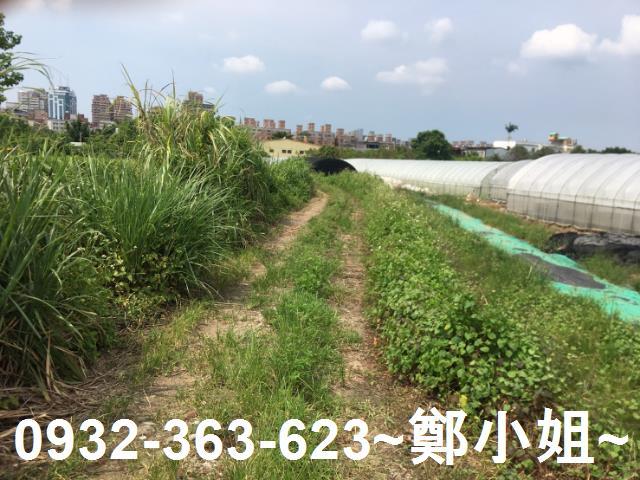 桃園區農地-1
