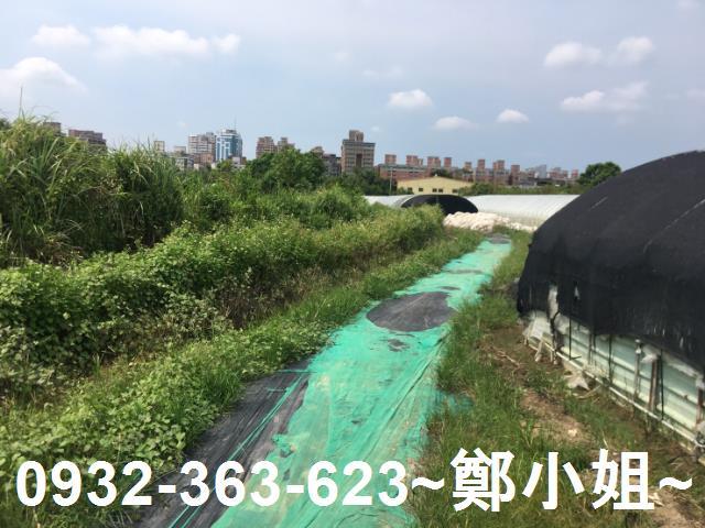 桃園區農地-2