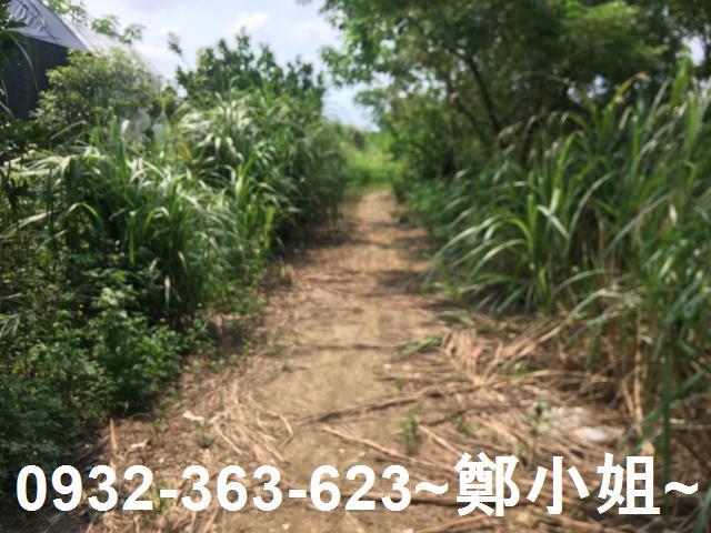 桃園區農地-3