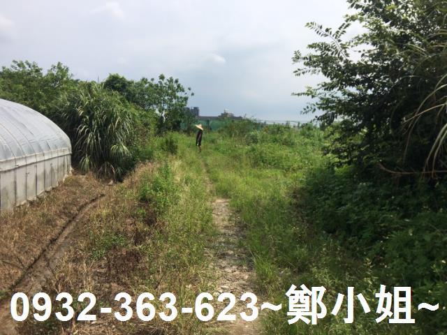 桃園區農地-4