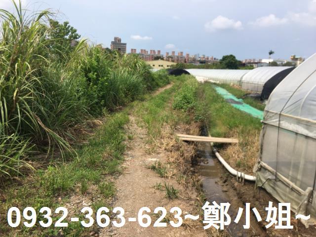 桃園區農地-5