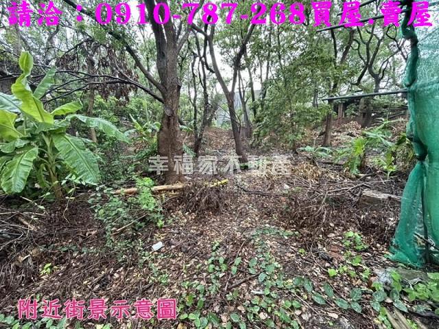六腳建地-11