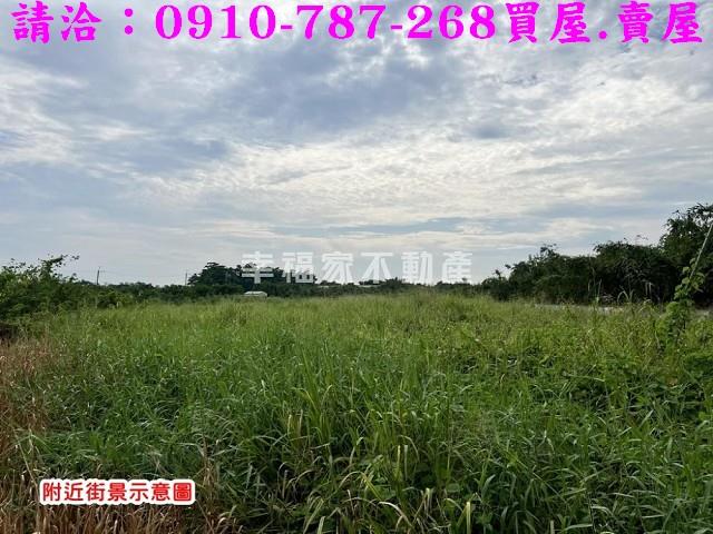 關廟農地-4