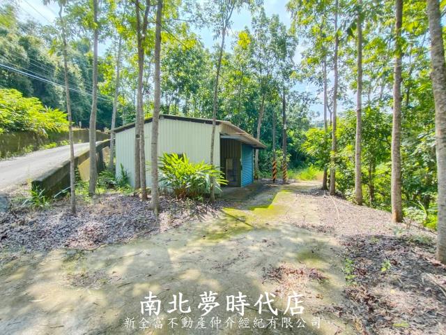 龍崎農地-4
