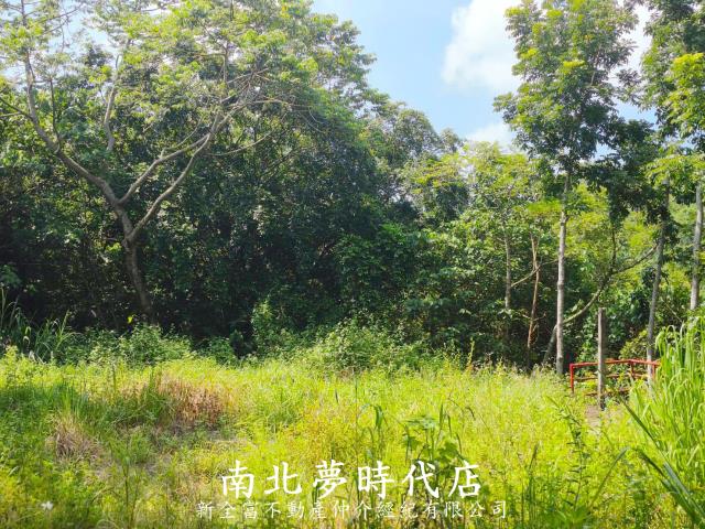 龍崎農地-6