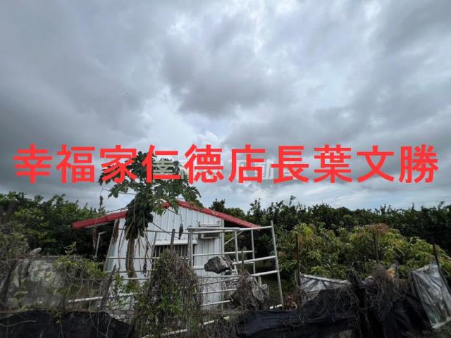 台南麻豆農地-10