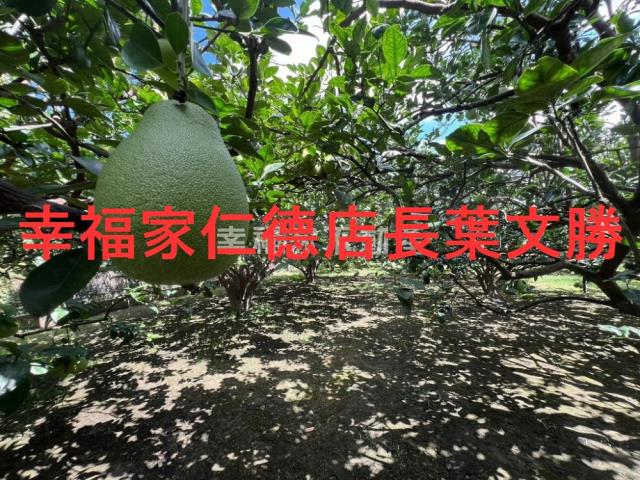 台南麻豆農地-15