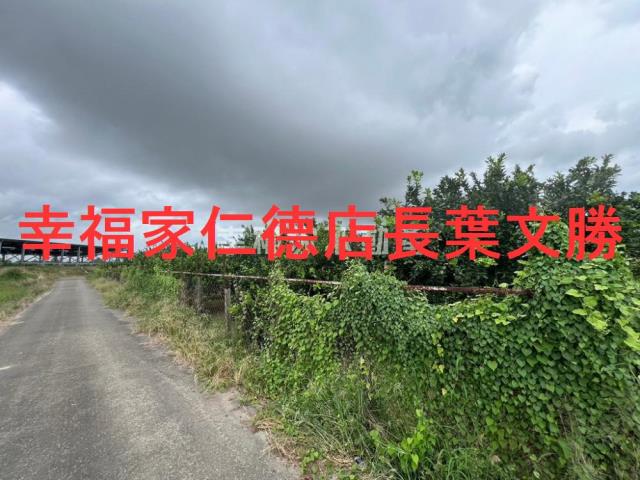 台南麻豆農地-1