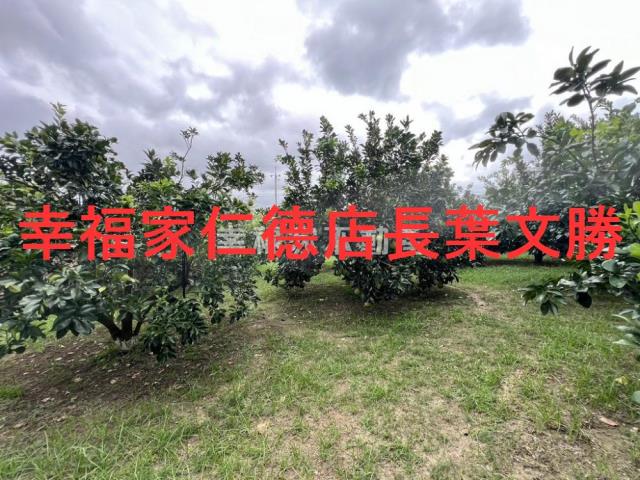 台南麻豆農地-3