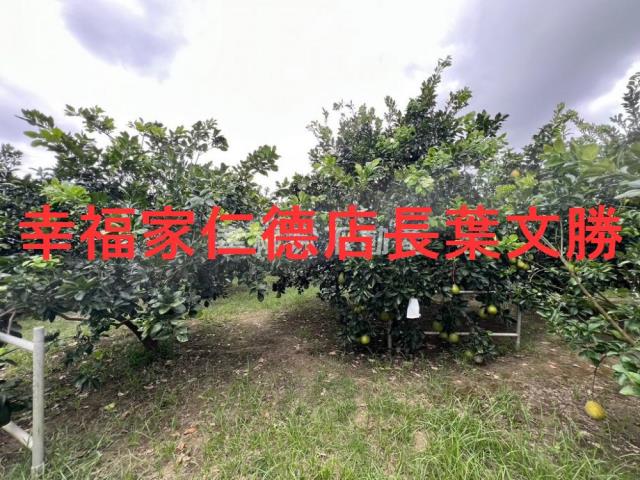 台南麻豆農地-5