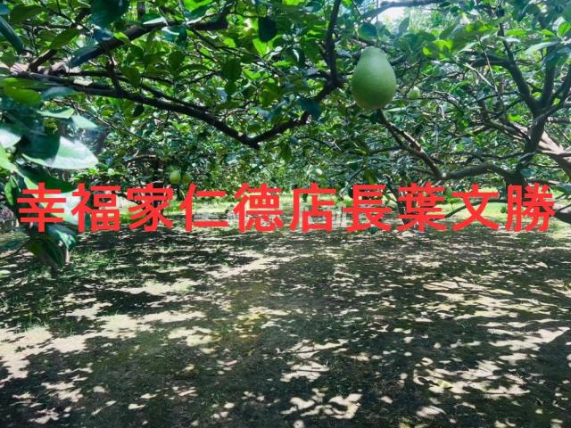 台南麻豆農地-7