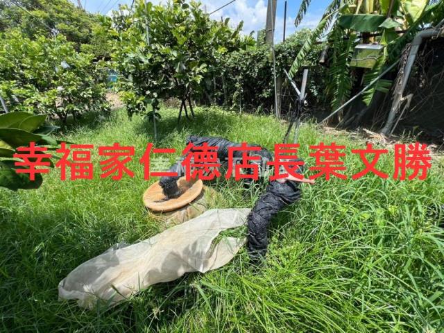 台南麻豆農地-8
