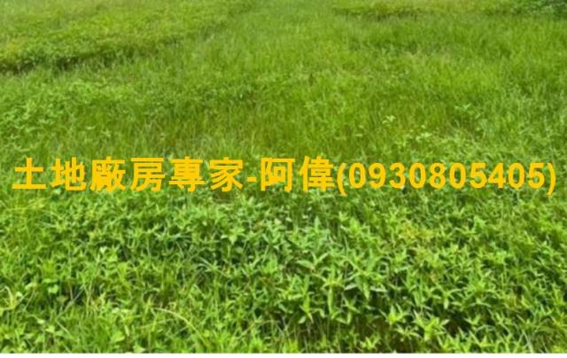 高雄大寮農地-1