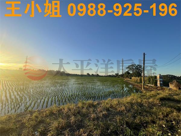 桃園平鎮農地-12