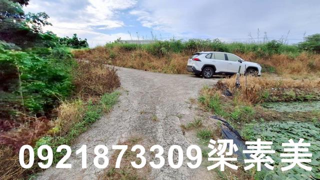 台南官田農地-4