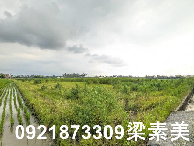 台南白河農地-7
