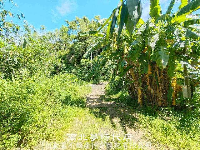 台南農地-3