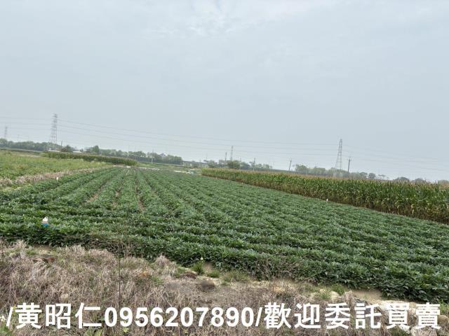 台南農地-12