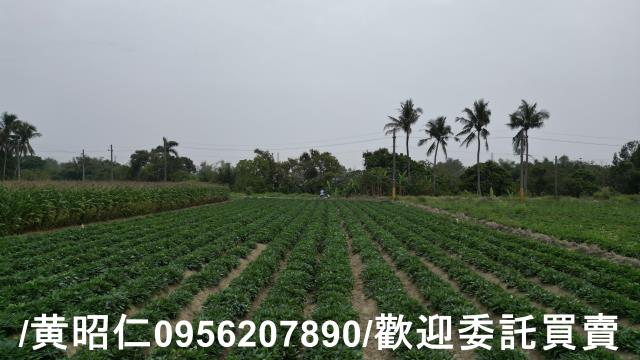 台南農地-1
