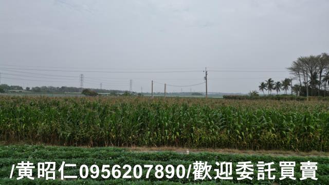 台南農地-2