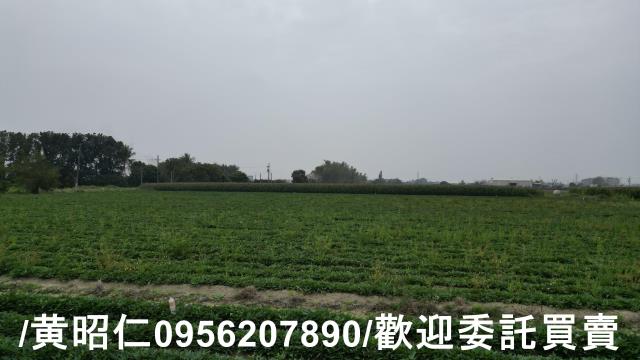 台南農地-3