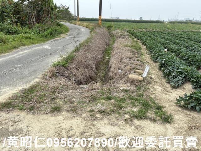 台南農地-6