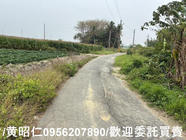 台南農地-7